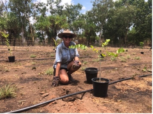 kakadu tours darwin