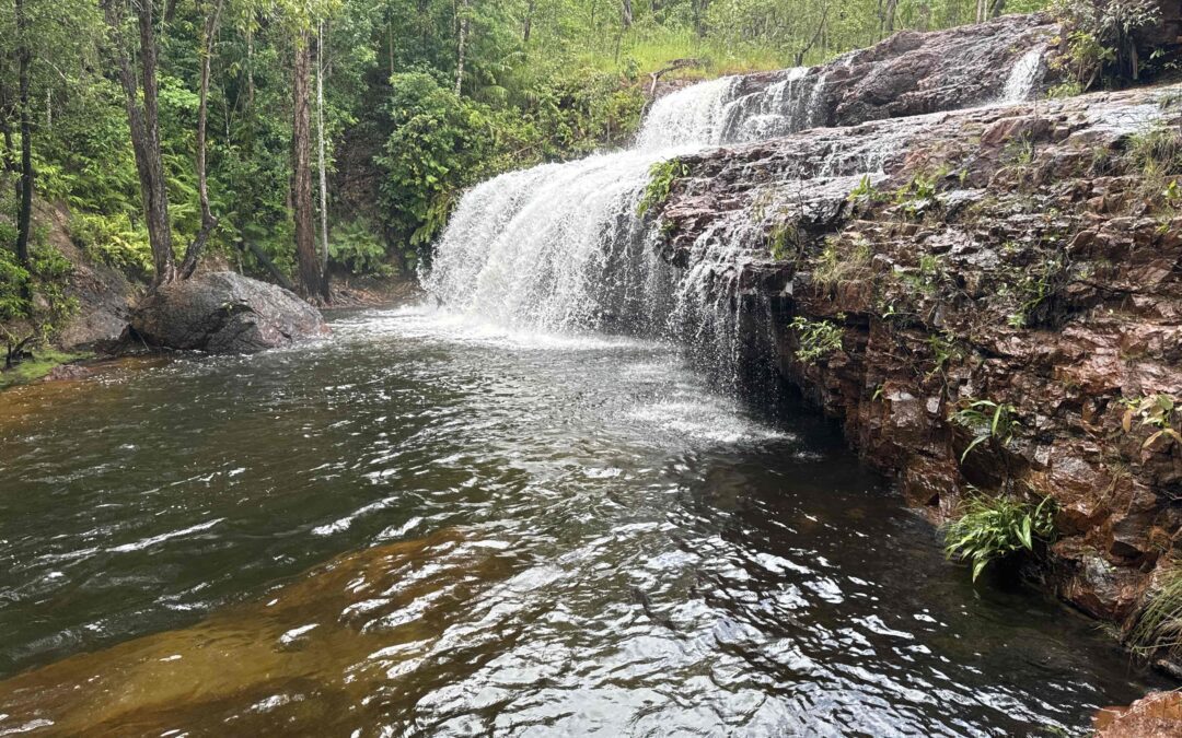 Kakadu Tours: Discover the Beauty and Culture of Australia’s Wild Heart