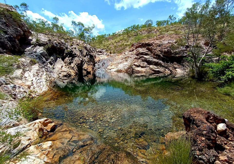 Journey Through Kakadu: A Guide to Memorable Tours and Experiences